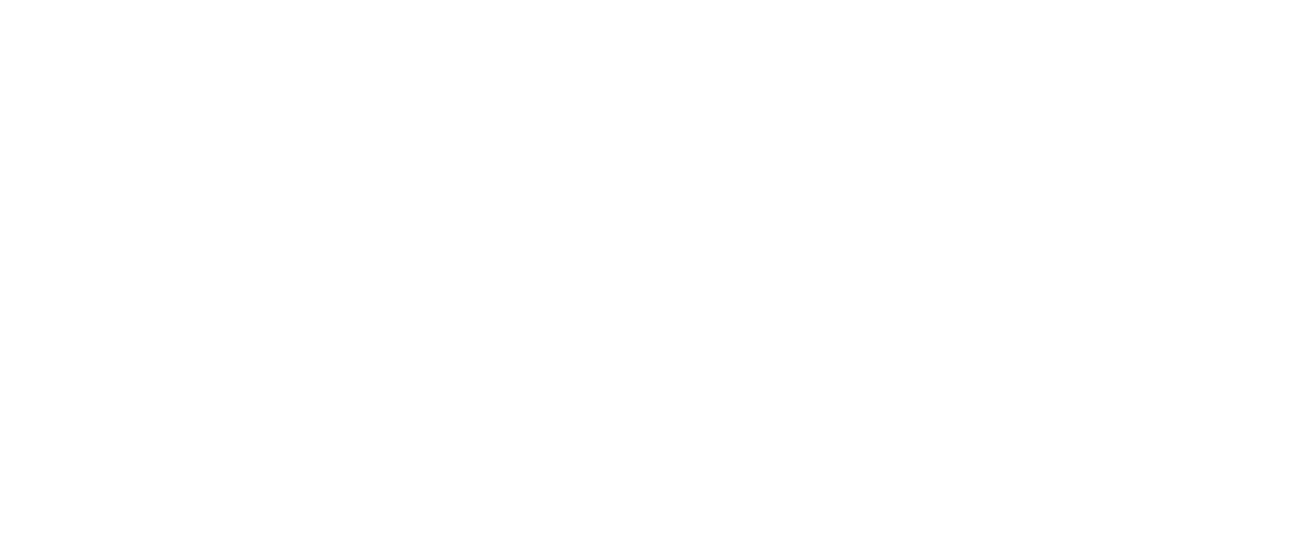 Finesse Max
