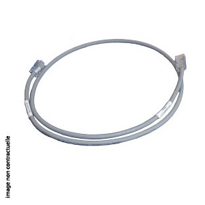 [DYN-101582-000] DYNON-SV-ETHERNET-3CC-Câble Ethernet